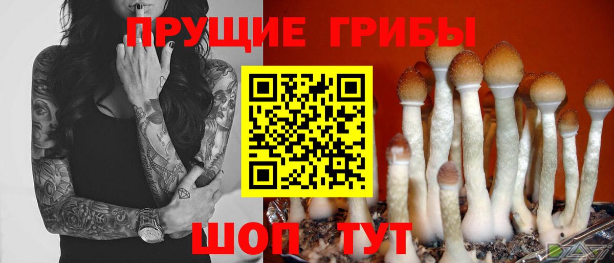 Верхний Уфалей  Псилоцибиновые грибы ЛСД  Вход с VPN  Галлюциногенные грибы Cubensis 